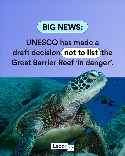 Overnight, UNESCO released a draft decision to not list the Great...