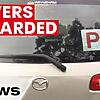 Opposition calls for P-plate drivers to be rewarded for good behaviour | 7NEWS