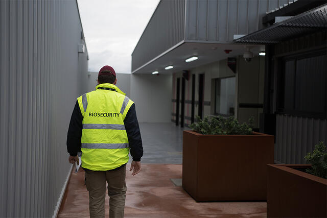 Image of a person in a high resolution vest with the word "Biosecurity" written on it, walking away from the camera towards a building entrance