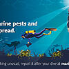 Graphic of several scuba divers, one in the foreground with a headlight shining, observing various marine animals underwater. The Australian Government crest is in the top left corner, and prominent text reads: "Report marine pests and stop the spread". Further text at the bottom reads: "If you see something unusual, report it after your dive at marinepests.gov.au."
