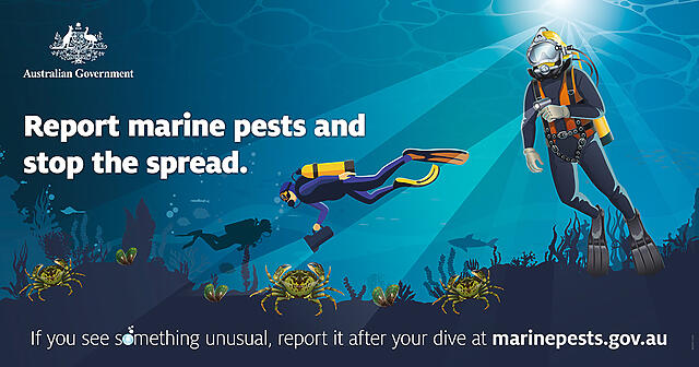 Help stop the spread of marine pests