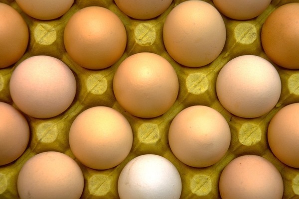 Insight – Taiwan temporarily opens market for eggs and egg products