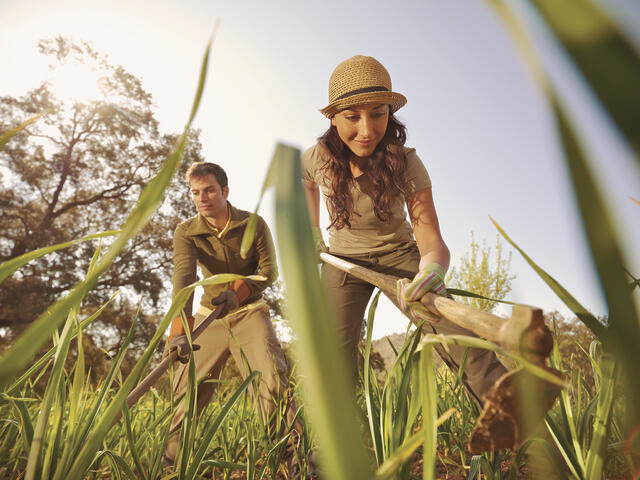 Census snapshot shows changes in agricultural workforce