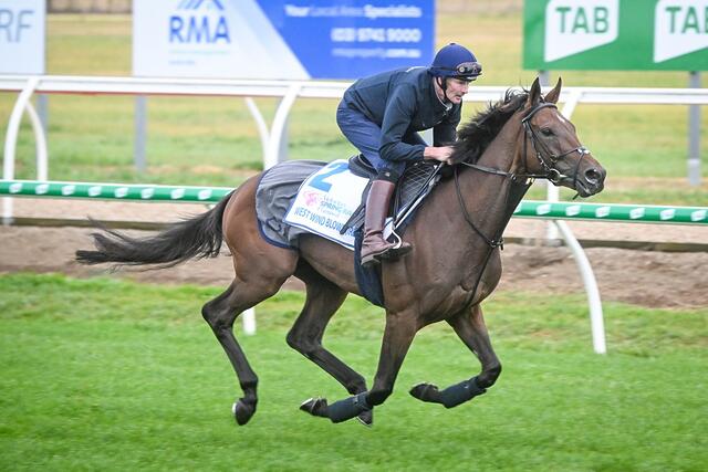 Carnival heats up as horses clear quarantine