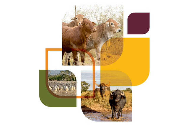 Publication of the Australian Standards for the Export of Livestock version 3.3
