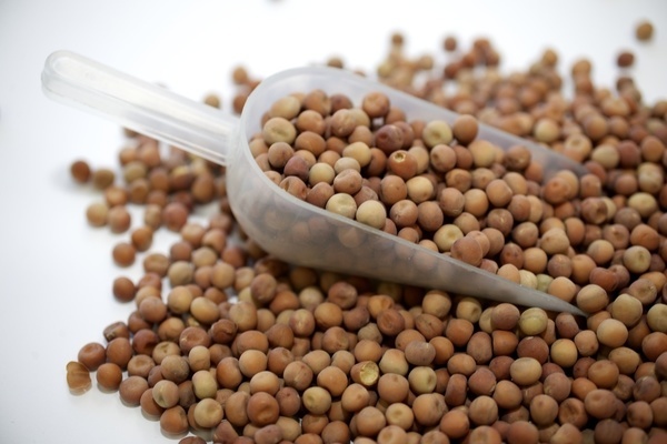 Temporary removal of import restrictions and duties on yellow peas to India