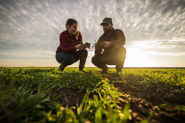 Investment in Research and Development crucial for Advancing Australian Agriculture