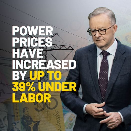 National Party of Australia: Labor promised at the election to reduce household electricity bills b…