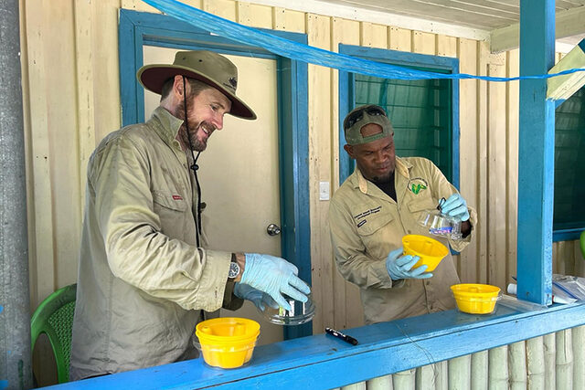 2 men from the entomology team setting up fruit fly traps in the Solomon Islands.