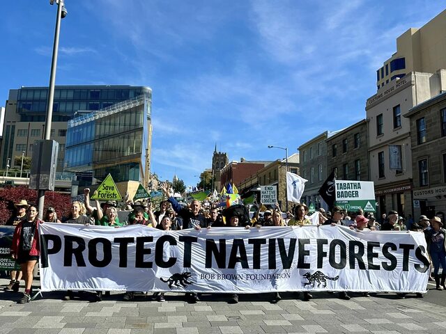 End native forest logging in Tasmania, now!...