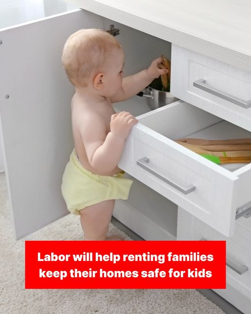 Tasmanian Labor: Labor will make it easier for renters to turn their house into a home,…