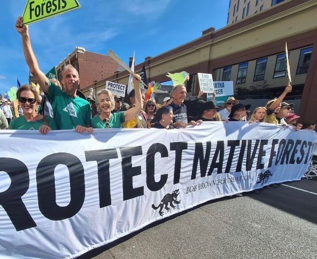 The rally to end native forest logging in lutruwita-Tasmania was pheno...
