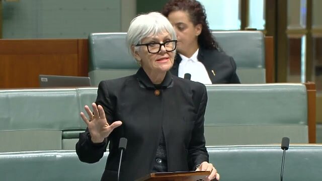 VIDEO: Australian Greens: Elizabeth Watson-Brown on the housing crisis and power of the big banks
