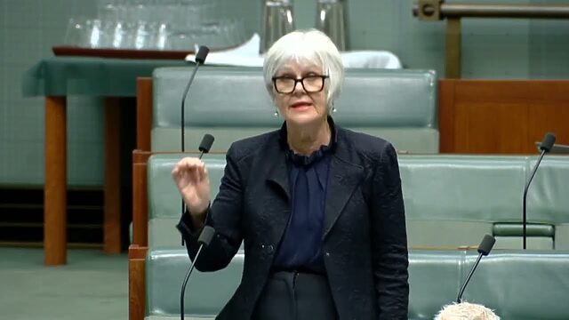 VIDEO: Australian Greens: Elizabeth Watson-Brown on the need for Labor to restore UNRWA funding