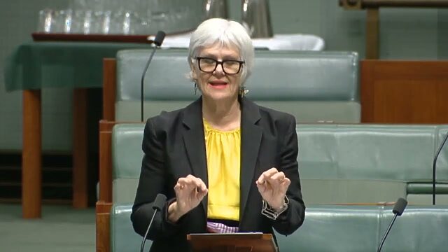 VIDEO: Australian Greens: Elizabeth Watson-Brown on fairer paid parental leave