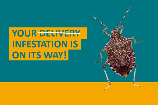 Your infestation is on its way!