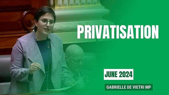 Gabrielle de Vietri MP: Privatisation