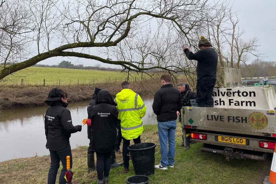 Cheshire River Restocked: Thousands of Fish Released