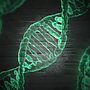 Research: Violence Alters Human Genes Across Generations