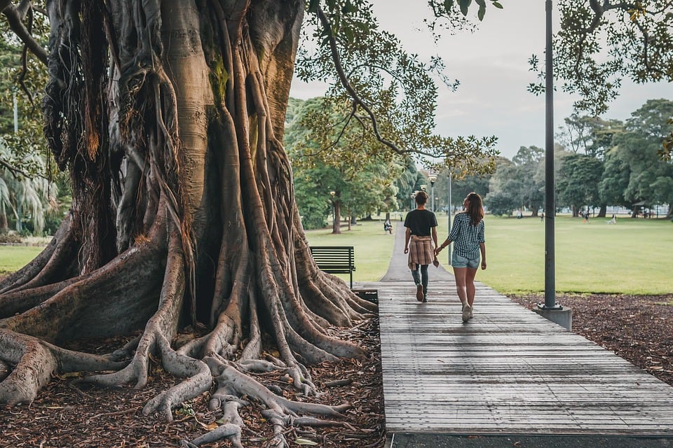 Aboriginal Safety Grants for Communities Announced