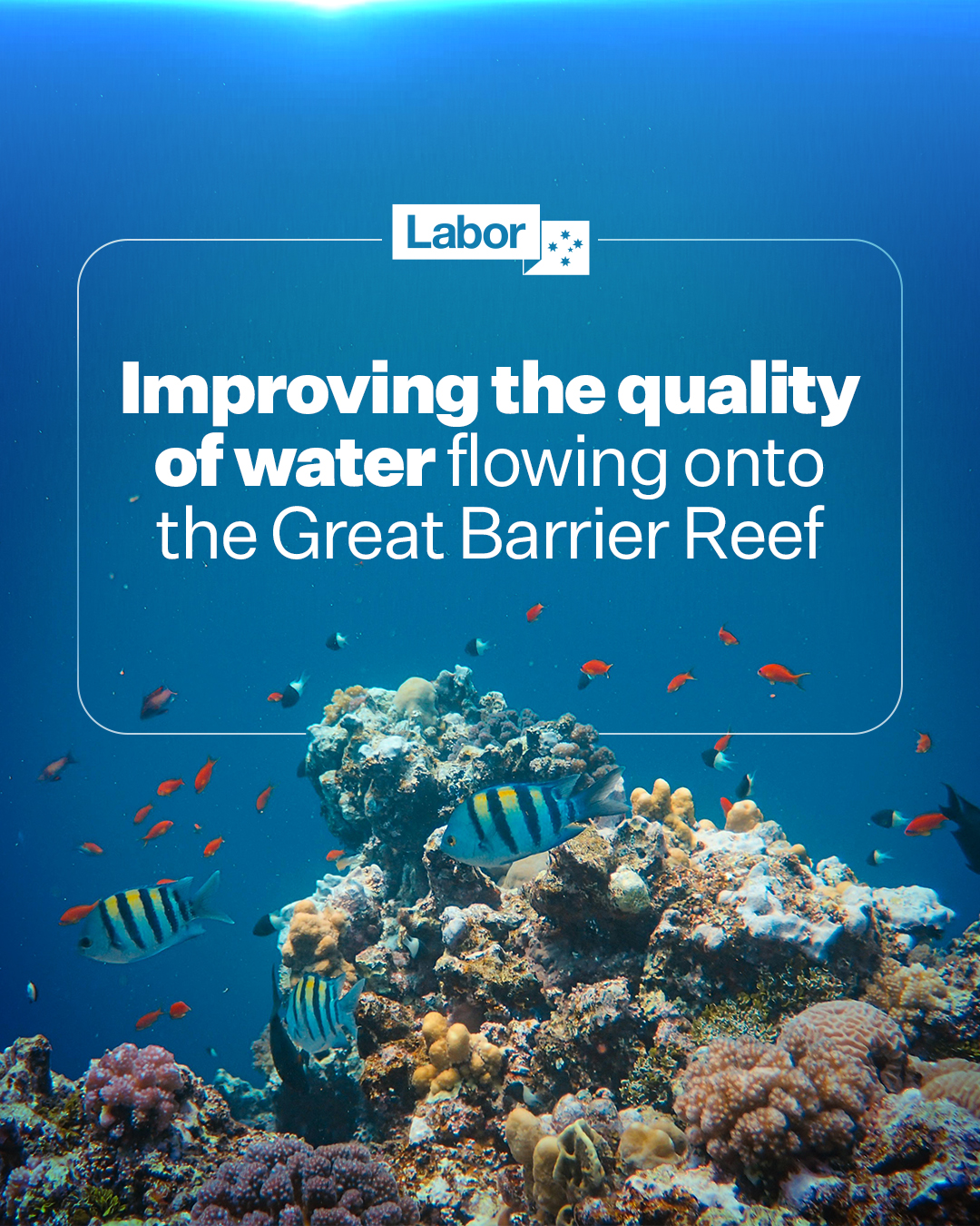 One of the most iconic things about the Great Barrier Reef is the crystal blue w...