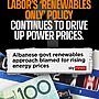 Albanese's all-eggs-in-one-basket renewables approach is pushing your power pric...