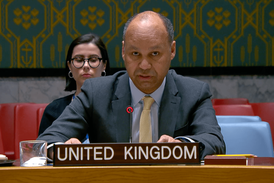 UK: EU-UN Cooperation Vital, Security Council Statement