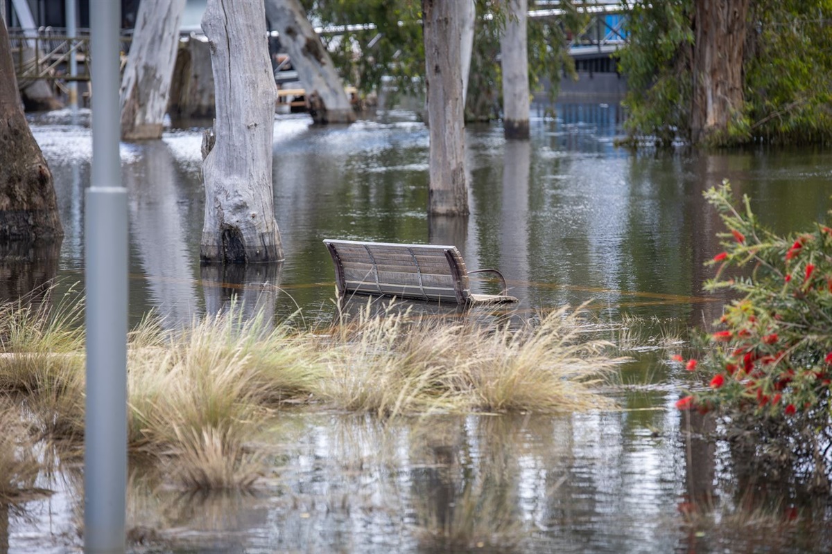 Council Urges Govt to Fund Flood Study Mitigation