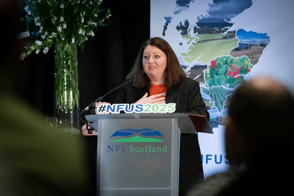 Roundtable Aims to Boost Scotland's Agriculture