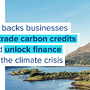 UK Backs Business Carbon Credit Trade, Unlocks Finance
