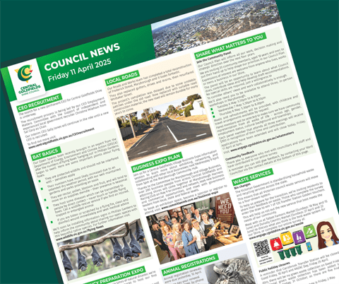 council.news.11apr.2025_TILE.png