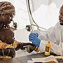 Anthrax Outbreak Worsens Eastern DR Congo Crisis