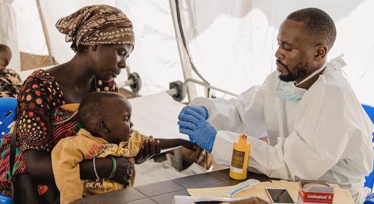 Anthrax Outbreak Worsens Eastern DR Congo Crisis