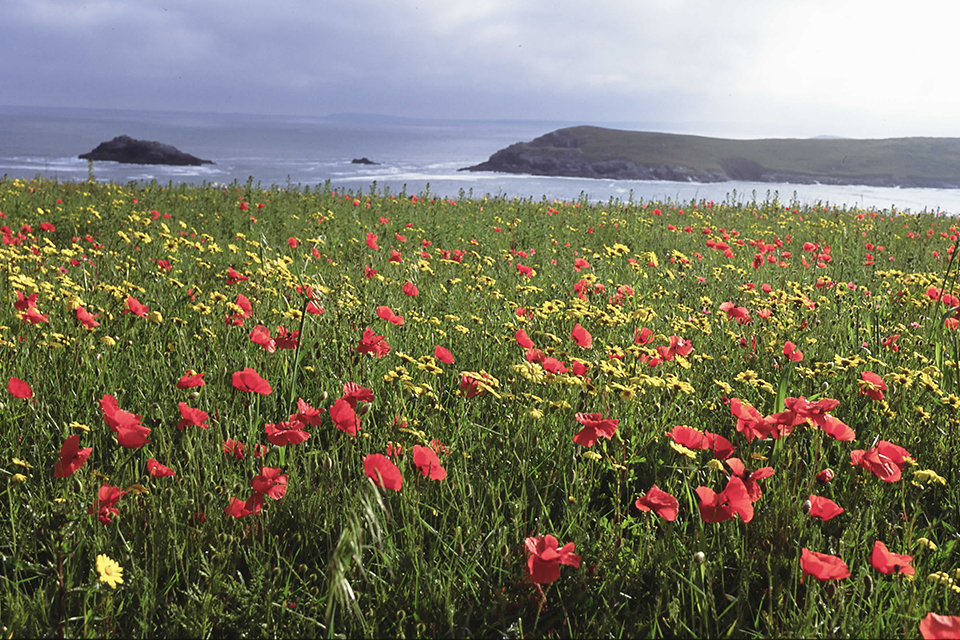 Bronte Country Named New National Nature Reserve