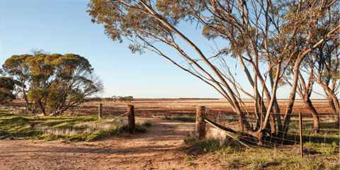 Farm gate
