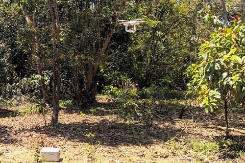 Drones Boost Community Forest Growth, New Study Finds
