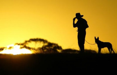 Fifty Farmer Groups Call For Mental Health Action