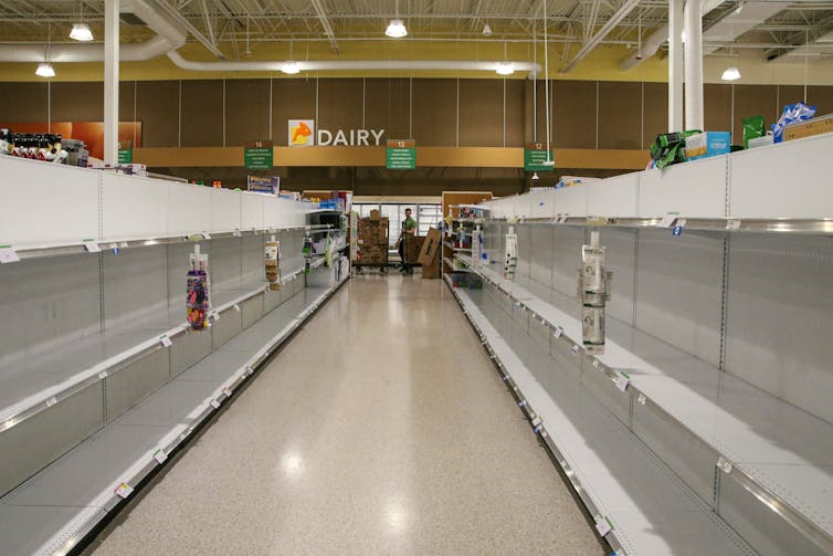 Govt Food Strategy: Prioritize Health Over Profits