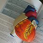 Grants Awarded for Food Is Medicine Efficacy Tests