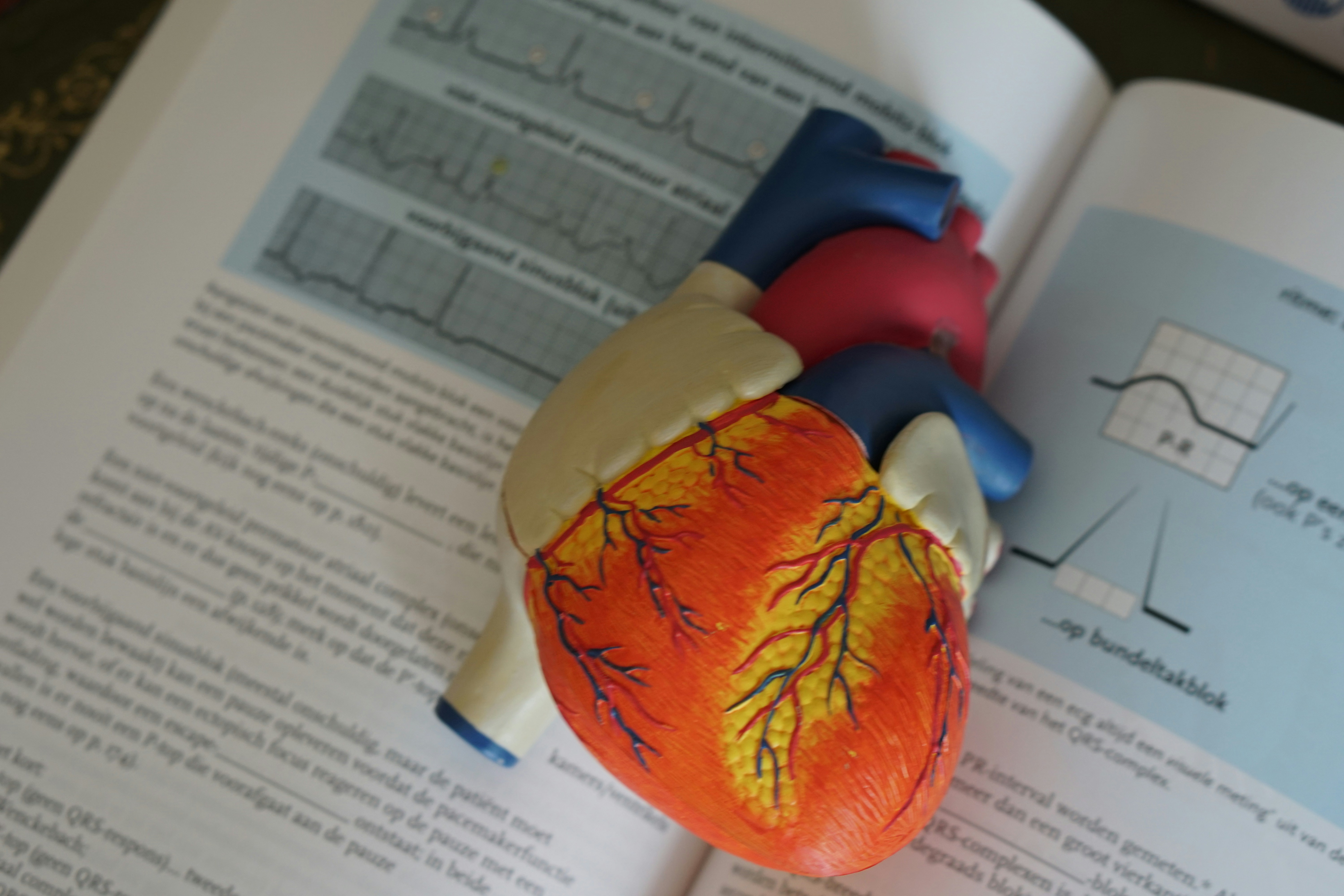 Grants Awarded for Food Is Medicine Efficacy Tests