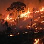 Fire and Deforestation in Porto Velho in the Amazon in Brazil. © Nilmar Lage / Greenpeace