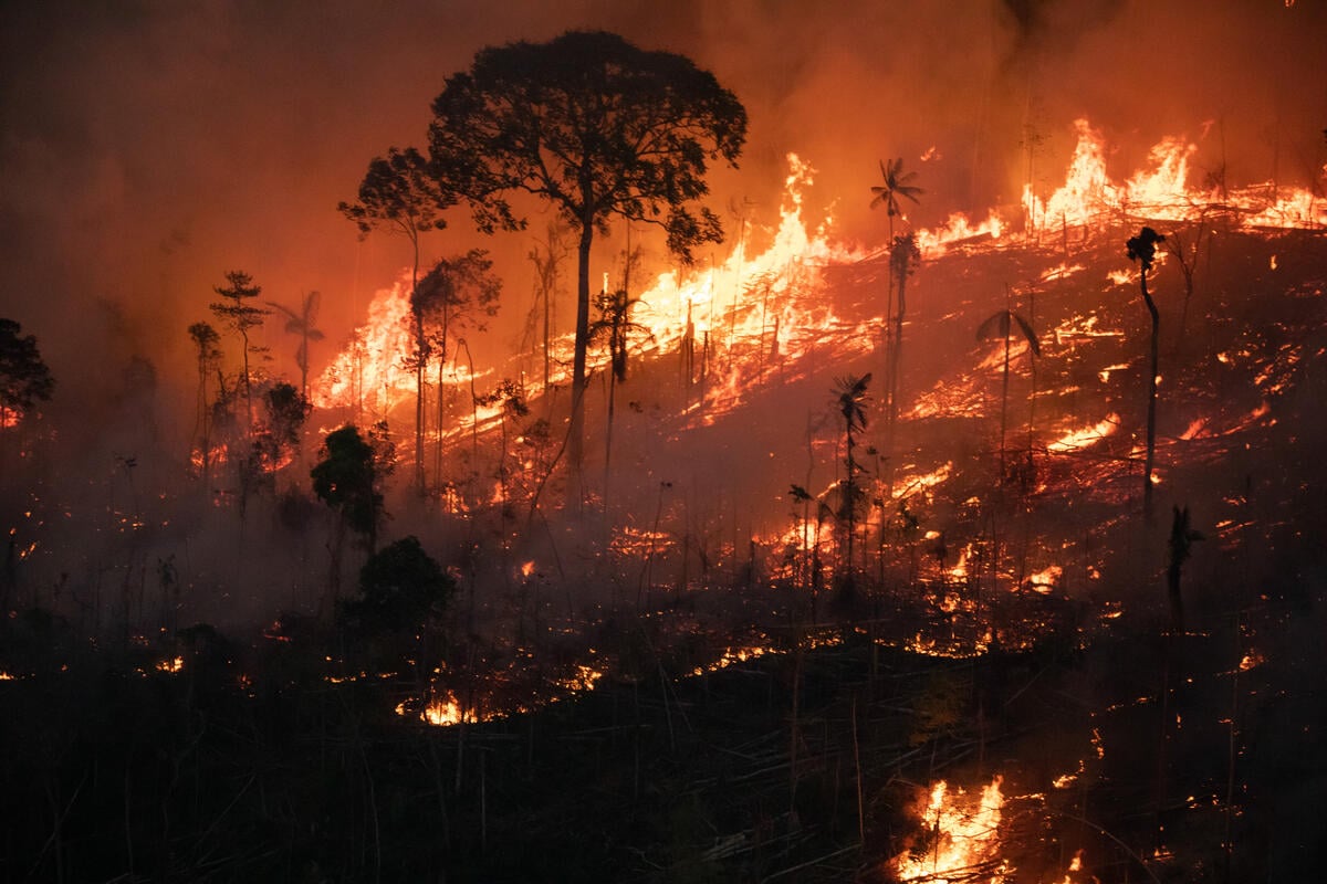 Fire and Deforestation in Porto Velho in the Amazon in Brazil. © Nilmar Lage / Greenpeace