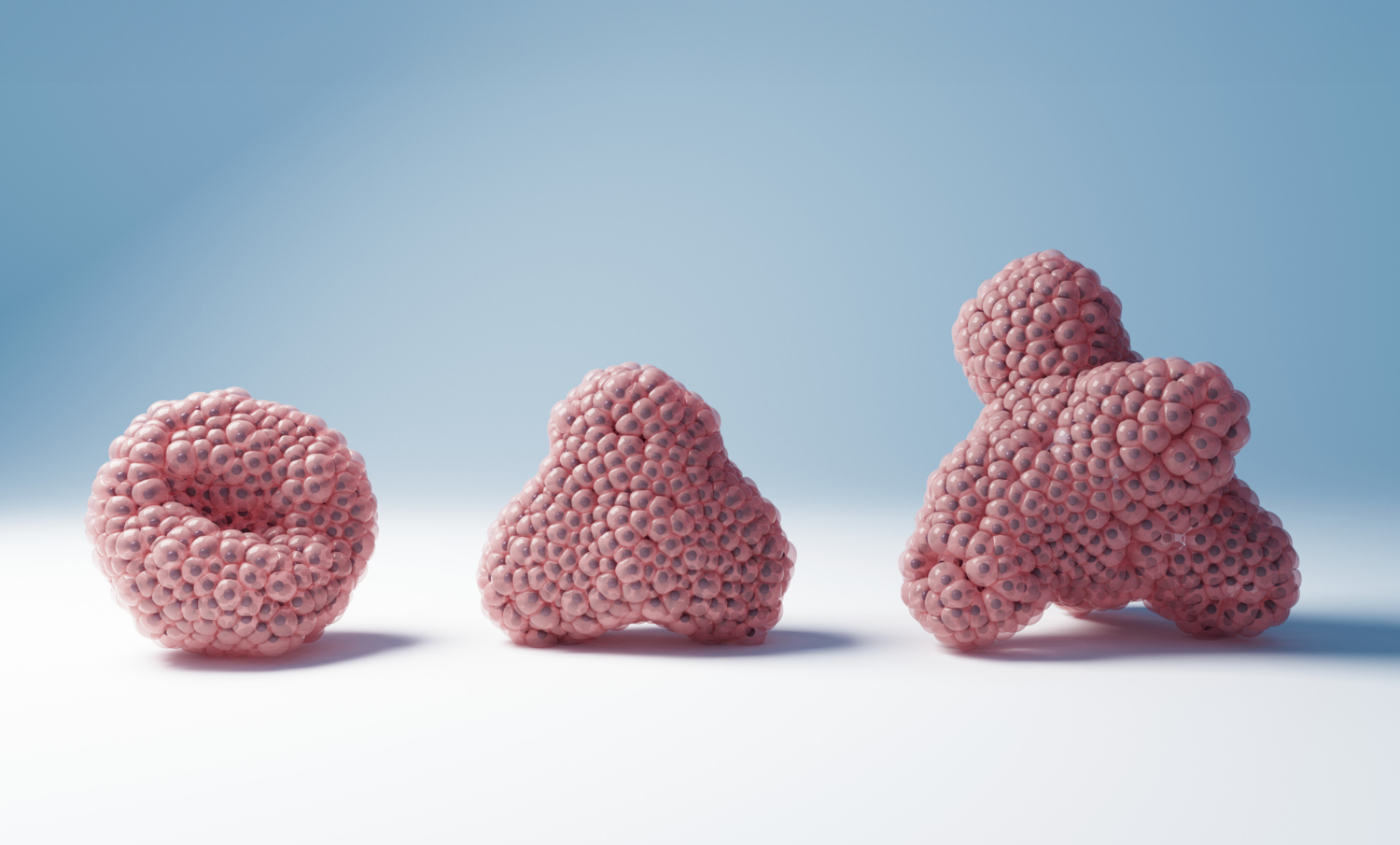 How Mini-organs Can Replace Animal Testing