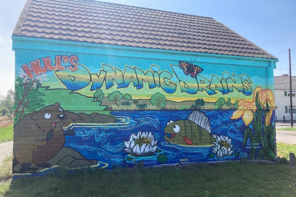 Hull Water Project Phase Boosts Wildlife