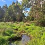 Identifying Flood Risk In Ballarat