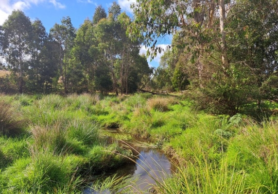 Identifying Flood Risk In Ballarat