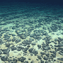Interior Eyes Offshore Mineral Lease Near Samoa