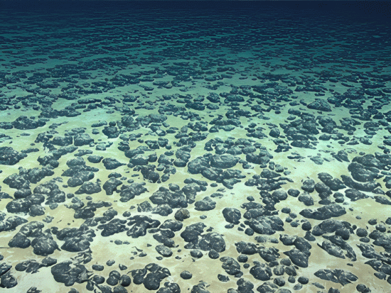 Interior Eyes Offshore Mineral Lease Near Samoa