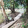 Lake Placid Restored After TC Jasper Damage