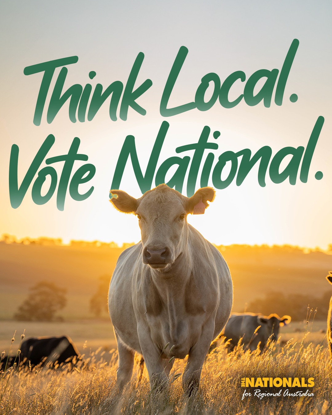 For cost of living relief: Think Local. Vote National....